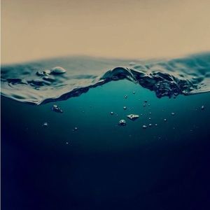 Meet your Posher, Leisha